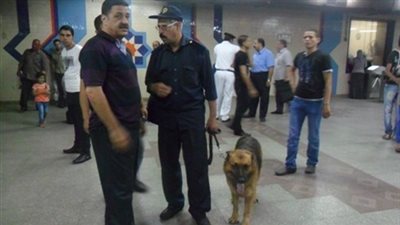 الأمن يمشط محطة «الشهداء» بالكلاب البوليسية
