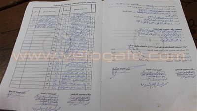 «غازي» يتصدر لجنة 108 في بنى عبيد بالدقهلية بـ721 صوتًا