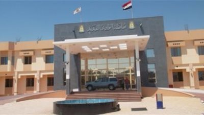 الأوقاف تتولى زراعة 20 ألف فدان قمح بالوادى الجديد