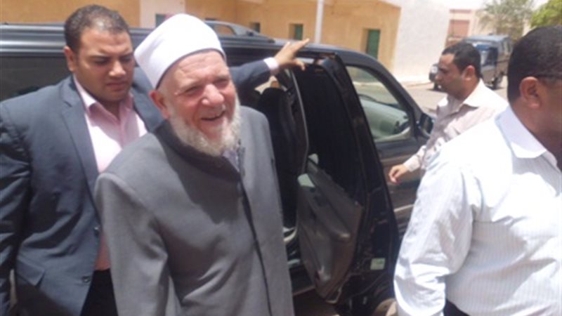 الدكتور طلعت عفيفى