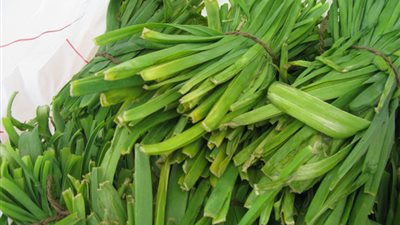 10 فوائد طبية مذهلة لنبات «الكراث»