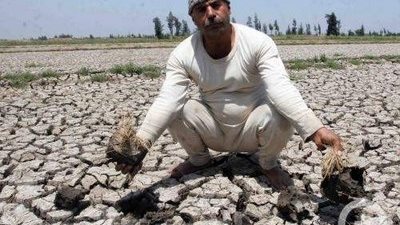 فلاحو الإسماعيلية يطلقون مبادرة لمواجهة بوار الأراضي الزراعية