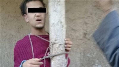 أهالي شبرامنت يربطون شابا سرق توك توك في شجرة (صور)