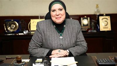 نيفين جامع: انطلاقة كبيرة للمشروعات الصغيرة في 2019