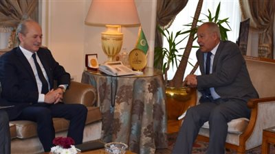 أبو الغيط: التدخلات الخارجية ساهمت في تعقيد الأزمة السورية