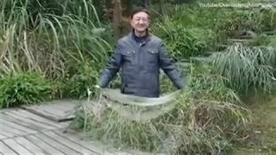 21 مليون مشاهدة لعباءة إخفاء صينية (فيديو وصور)