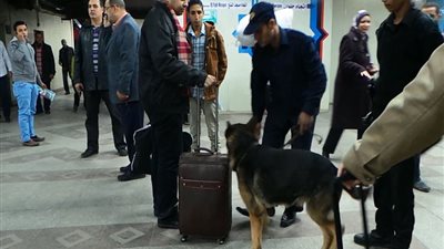 تمشيط محطة مترو الشهداء بالكلاب البوليسية