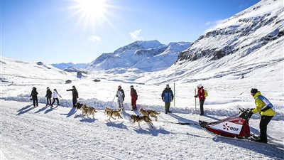 سباق الكلاب يجذب السياح لجبال الألب الفرنسية (صور)
