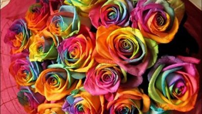الرومانيون يفضلون شراء الزهور من خلال الإنترنت في عيد الحب