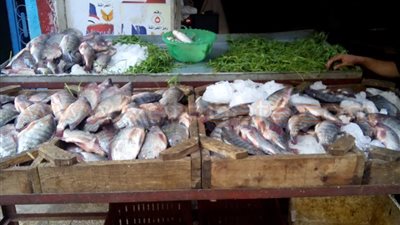 بالصور.. انخفاض أسعار اللحوم والدواجن وارتفاع الخضراوات بالمطرية