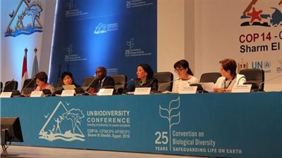 كيفية حماية أفريقيا من الخلل البيئي في 11 سنة