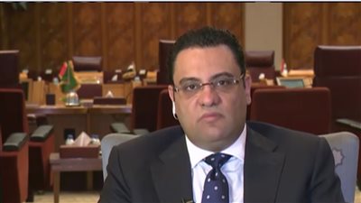 «الجامعة العربية»: الحصول على الحق في القضية الفلسطينية ليس سهلا