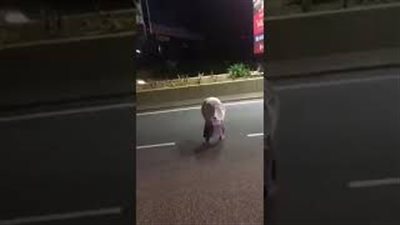 لقطات صادمة لرجل يصلي في منتصف طريق سريع (فيديو)