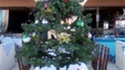 فنادق الغردقة تتزين استعدادا لاستقبال العام الجديد