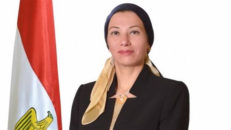 ياسمين فؤاد وزيرة