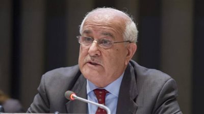 فلسطين للأمم المتحدة: إسرائيل تتحمل مسئولية التحريض وعواقبه