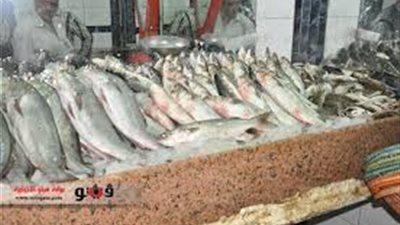 تباين أسعار الأسماك.. وبلطي أسواني يسجل 17 جنيها