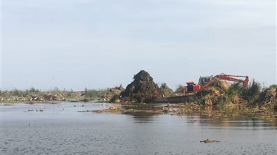 السيسي: قررنا تطوير بحيرة المنزلة بعد تدمير ذريعة الأسماك