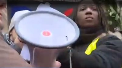 ارتفاع أعداد المتظاهرين بفرنسا لـ33 ألفا (فيديو)