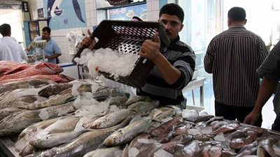 ارتفاع أسعار الأسماك.. واستقرار اللحوم