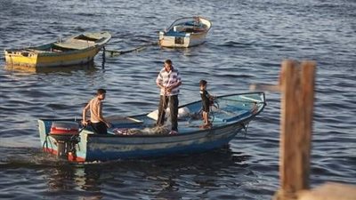 وقفة احتجاجية لصيادي الإسكندرية أمام المجلس المحلي.. غدا