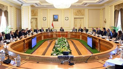 تفاصيل اجتماع القائم بأعمال رئيس الوزراء ومجلس أمناء جامعة سنجور