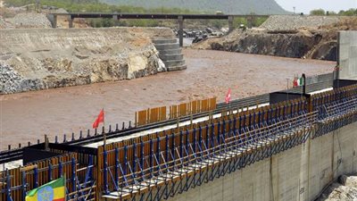 بعد إعلان إثيوبيا توقف بناء سد النهضة 4 سنوات.. توقعات باستعادة المساحة المنزرعة بالأرز.. و«النقل» تستغل الفرصة لتنفيذ 3 مشروعات مع أديس أبابا.. و«شبل»: الأرز بريء من تهمة إهدار ال