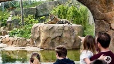 تجنبا للانقراض.. حديقة حيوان «تشيستر» البريطانية تطلق حملة لجمع التبرعات