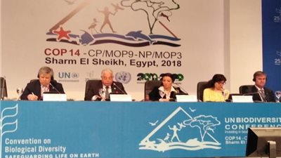 تعرف على أهداف خطة «التنوع البيولوجي» للحفاظ على الطبيعة