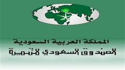 100 مليون دولار قرضًا سعوديا لتوسعة محطة كهرباء غرب القاهرة