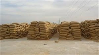 غدًا.. لجنة البرامج بـ«التموين» تبحث الاحتياطي الإستراتيجي من القمح