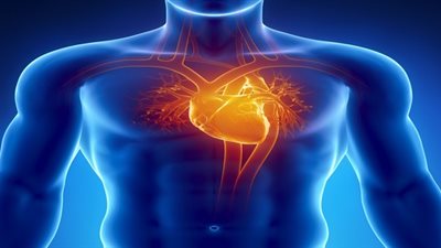 دراسة: زيادة حالات ضعف عضلة القلب بفعل التغير الديموجرافي في بريطانيا