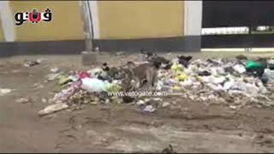 أولياء أمور طلاب «الخانكة الثانوية» يشتكون من القمامة ومياه الصرف (فيديو)