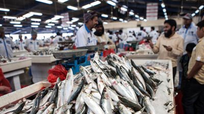 استقرار أسعار اللحوم والأسماك في الأسواق