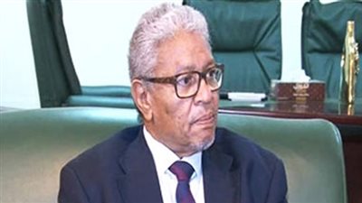 وزير العدل السوداني يغادر مطار القاهرة متوجهًا للخرطوم