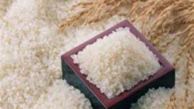 شحاتة: الحد من زراعة 