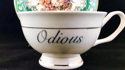 امرأة تسب ضيوفها غير المرحب بهم بطريقة غير متوقعة (صور)