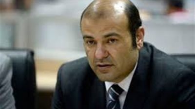 خالد حنفي: مصر نجحت في إقرار قوانين للشراكة بين القطاع العام والخاص