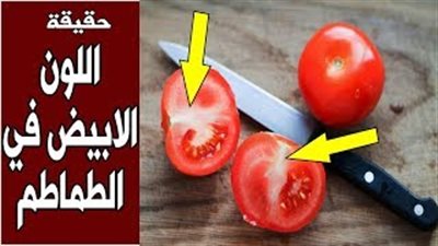 حكاية اللون الأبيض أو الأصفر بثمرة الطماطم (فيديو)