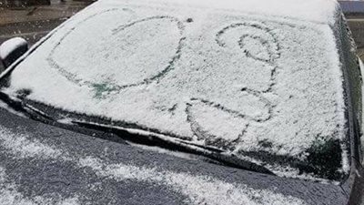 شاب يعبر عن حبه لفتاة عربية في أمريكا (صور)