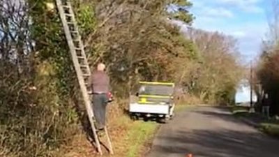 سقوط رجل قطع فرع شجرة ضخما بشكل خاطئ (فيديو وصور)