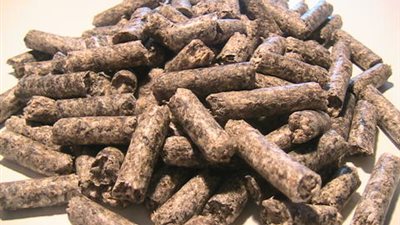 الصين تبدأ استيراد لب بنجر السكر من مصر