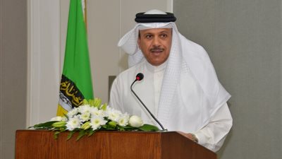 الزياني يشيد بدور خادم الحرمين في توحيد الصف الخليجي