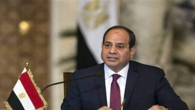 السيسي: العمل المشترك بين الدول يقدم حلولا مبتكرة لظاهرة تغير المناخ