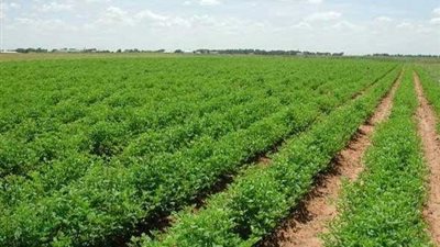 البرلمان يناقش منح «الري» ولاية أراضي طرح النهر بدلا من «الزراعة»