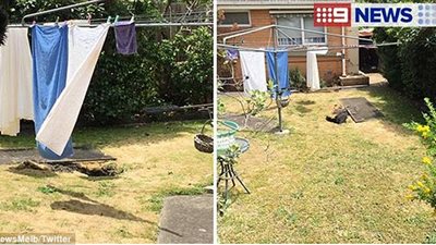 بالفيديو والصور.. سيدة تسقط في بالوعة أثناء نشرها الثياب