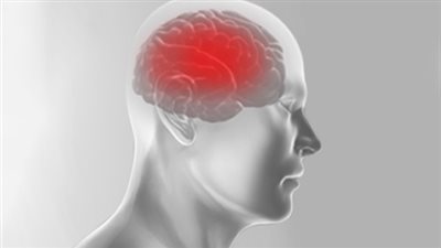 دراسة: إصابات الدماغ تؤدي إلى اختلال وظيفي في القناة الهضمية