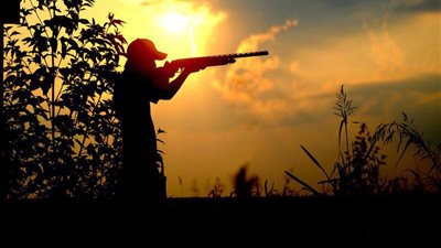 حملة أفريقية لمواجهة عمليات الصيد المحظور للثدييات المهددة بالانقراض