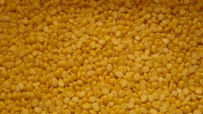 7 جنيهات لكيلو العدس الأصفر بمطروح.. اليوم