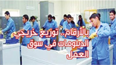 بالأرقام.. توزيع خريجي الدبلومات في سوق العمل